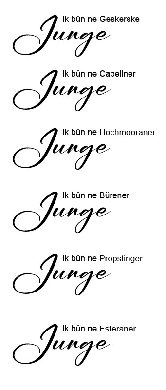 Herren-Hoodie "Ik bün...." Herren-Hoodie "Ik bün...."